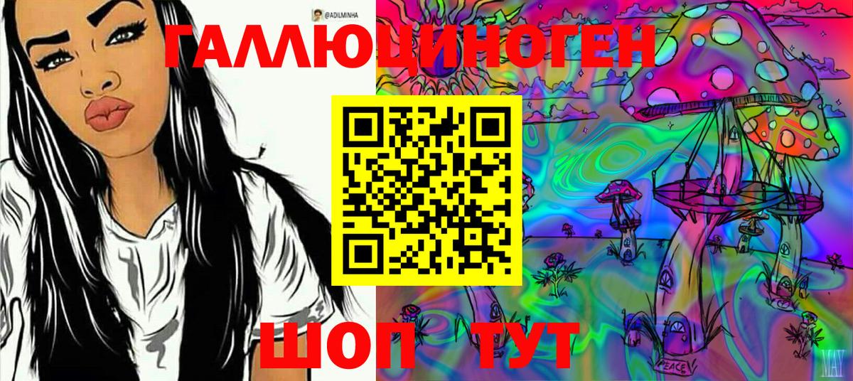 купить наркотик  Вход с VPN  Бийск  Псилоцибиновые грибы MAGIC MUSHROOMS 